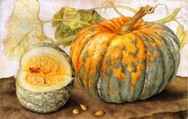 Giovanna Garzoni pumpkin design